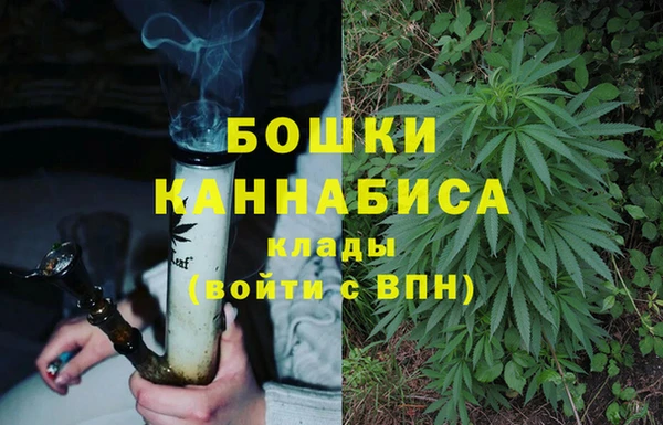 индика Богданович